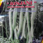 harga-benih-buncis-150x150