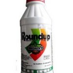 harga roundup