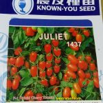 jual bibit tomat cherry