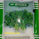 benih bayam unggul ayuna oriental seed