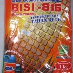 jagung-bisi-816