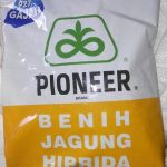benih jagung pioneer 27