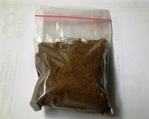 jual-benih-jabon-putih-1