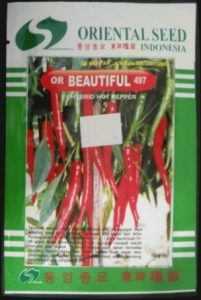 Jual Bibit Cabe