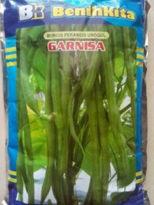 jual bibit buncis tegak