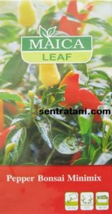 jual bibit cabe pelangi