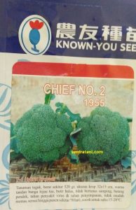 jual bibit brokoli chief