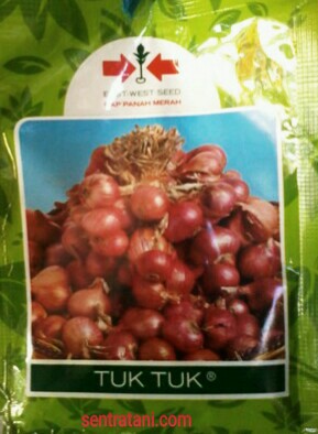 Jual Bibit Bawang Merah  0856-0856-6034  SENTRATANI.COM