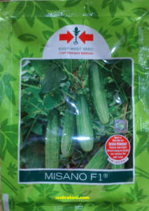 jual bibit timun
