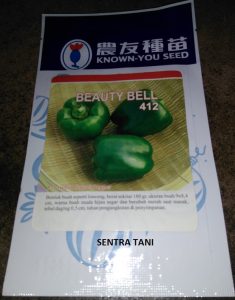 benih paprika