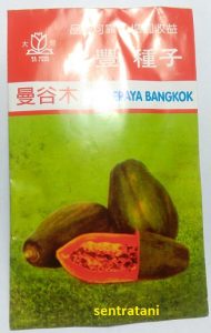 bibit pepaya bagkok