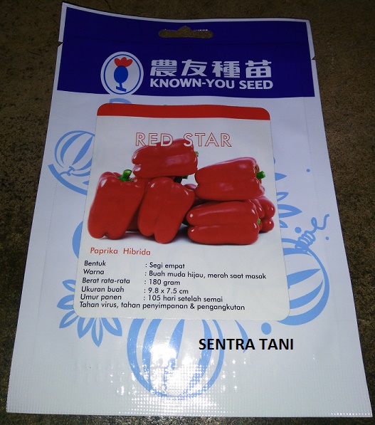 harga bibit paprika