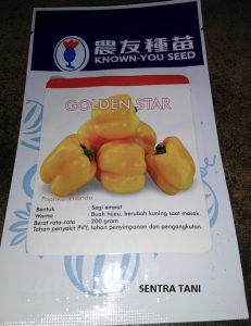 jual bibit paprika
