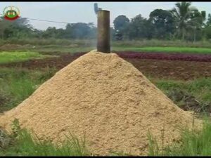 jual sekam bakar