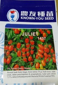 jual bibit tomat cherry