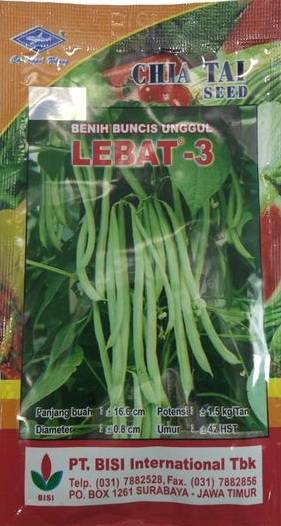 buncis unggul lebat 3