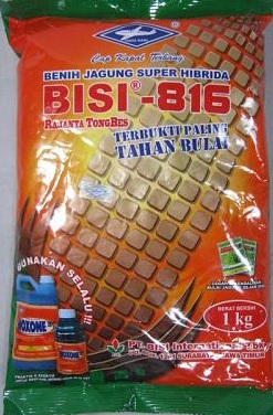 jagung-bisi-816