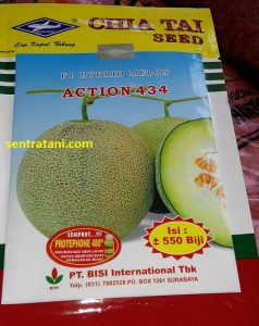 jual benih melon action