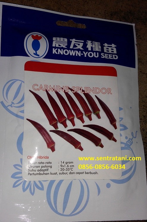 jual benih okra merah