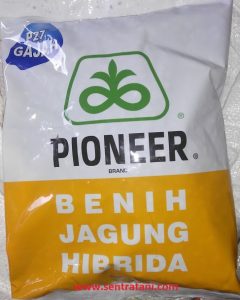 benih jagung pioneer 27