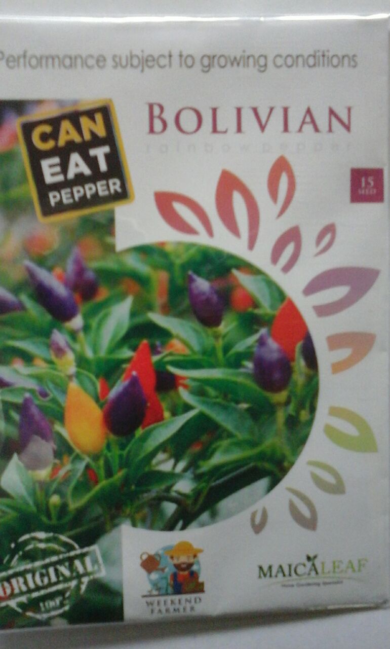 Cabe Hias Bolivian Rainbow Exotic Pepper Maicaleaf 15s