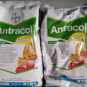 Fungisida Antracol 70wp 1 Kg