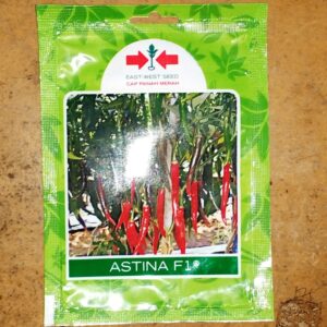 Cabe Merah ASTINA F1 125s