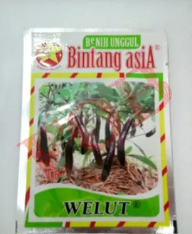 BENIH BINTANG ASIA TERONG WELUT 10GR