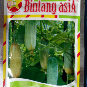 BENIH BINTANG ASIA TIMUN WUKU 20GR