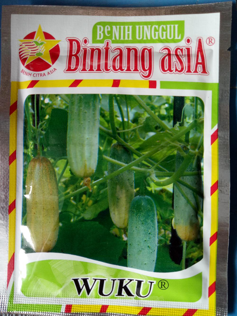 BENIH BINTANG ASIA TIMUN WUKU 20GR