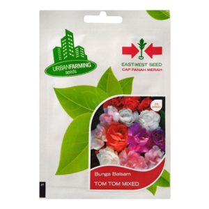 BENIH PANAH MERAH BUNGA BALSAM TOM TOM MIXED