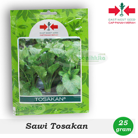 BENIH PANAH MERAH SAWI TOSAKAN 25gr