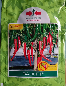 Benih Bibit Cabe Merah Besar BAJA F1 10gr