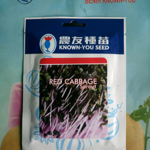 Benih Bibit Microgreen RED CABBAGE 50gr