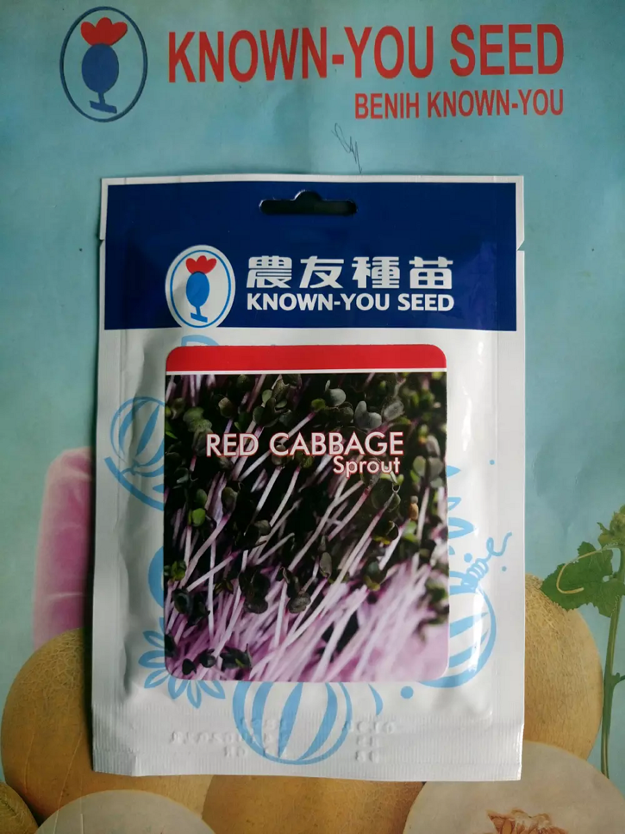 Benih Bibit Microgreen RED CABBAGE 50gr