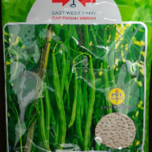 Benih Buncis Biji Putih LOGAWA 500gr