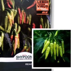 Benih Cabe Rawit Shypoon