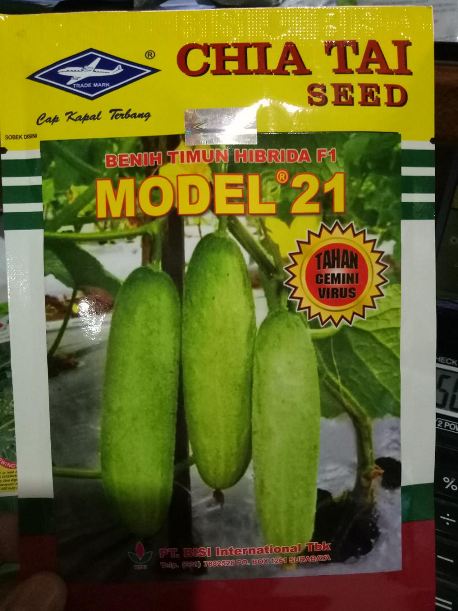 Benih Chia Tai Seed Timun Model 21 10gr