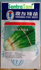 Benih Daun Hibrida MIRANDA 5 gr