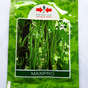 Benih I Panah Merah I Buncis Maxipro 500gr