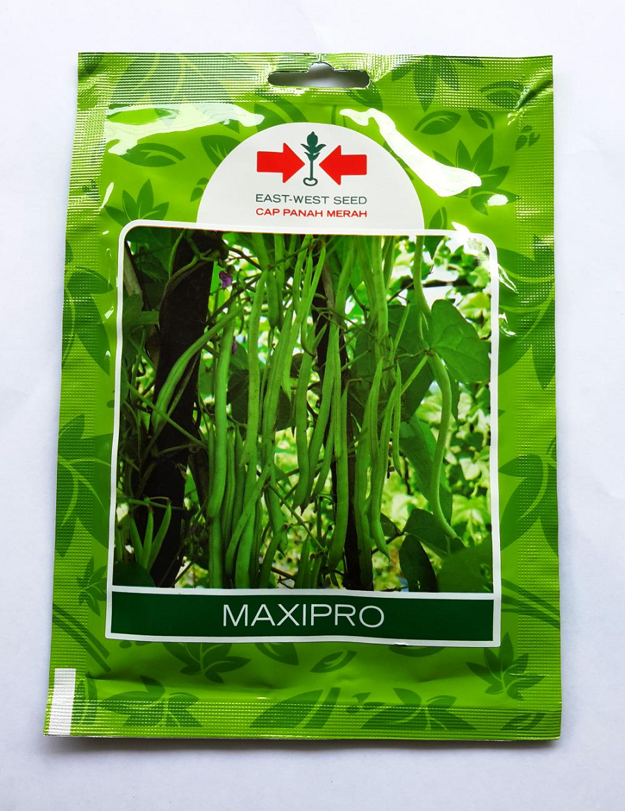 Benih I Panah Merah I Buncis Maxipro 500gr