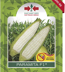 Benih Jagung Ketan PARAMITA 200 Biji