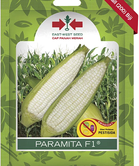 Benih Jagung Ketan PARAMITA 200 Biji