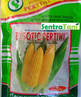 Benih Jagung Manis Exotic 250 Gram