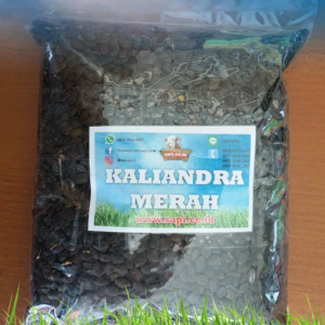 Benih Kaliandra Merah 1 kg