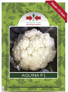 Benih Kembang Kol Aquina 10 Gram