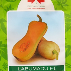 Benih Labu Madu F1 50 Biji