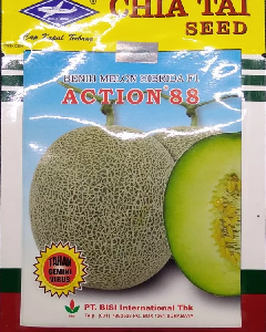 Benih Melon Action 88