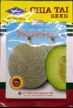 Benih Melon Action 88
