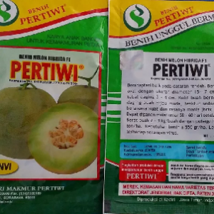 Benih Melon Pertiwi